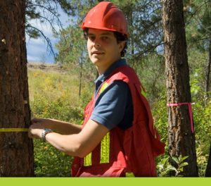 Arbortrim Training