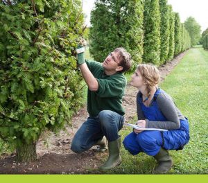 Arbortrim Training