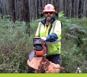 Arboriculture & Electrical