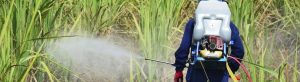 Using Chemicals Safely