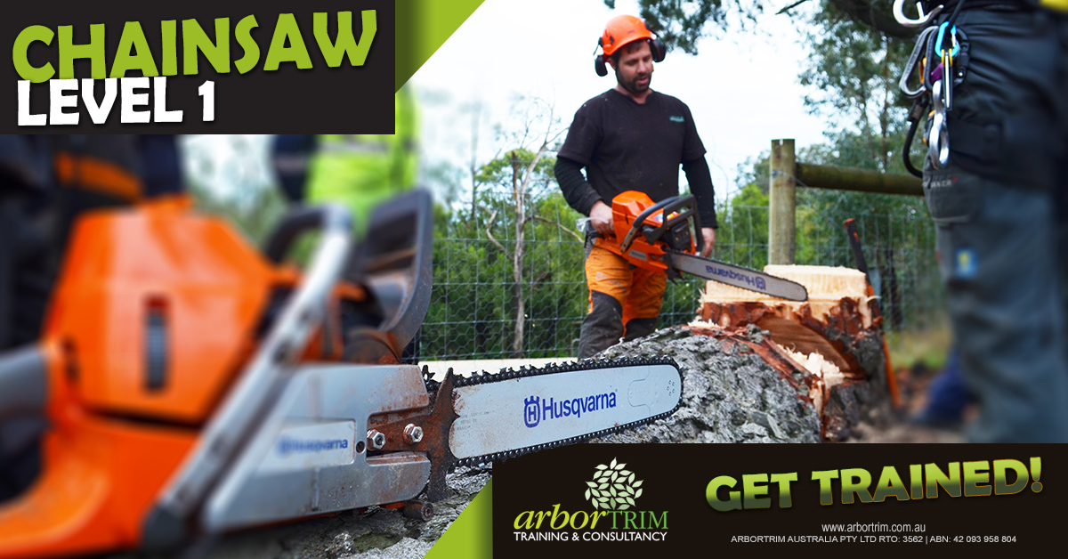 Basic Chainsaw Course Level 1 Arbortrim Training Melbourne