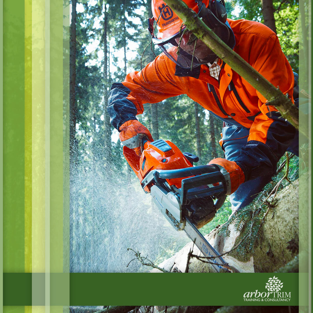 Arboriculture Courses in Melbourne Arbortrim Training