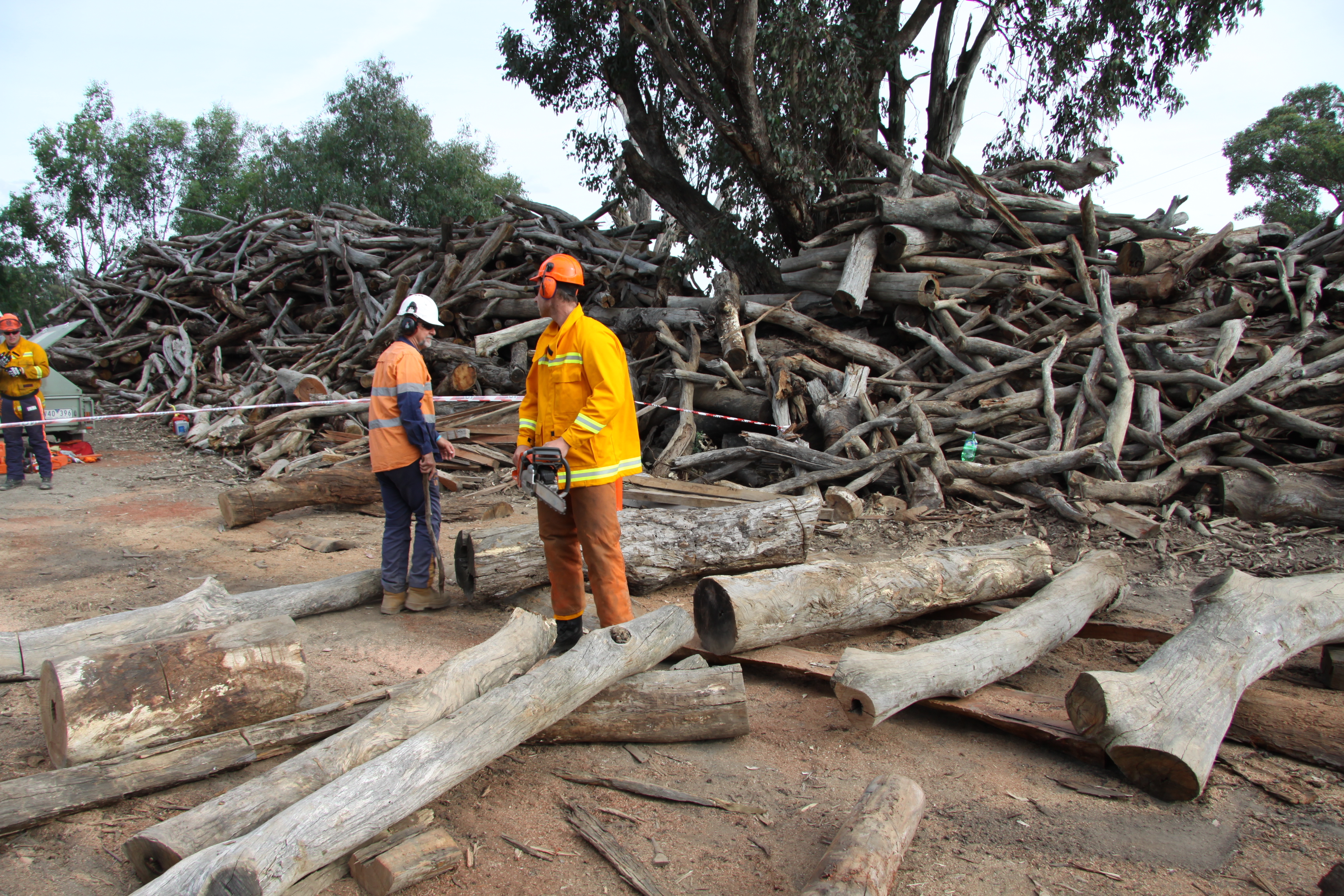 Chainsaw Training Course