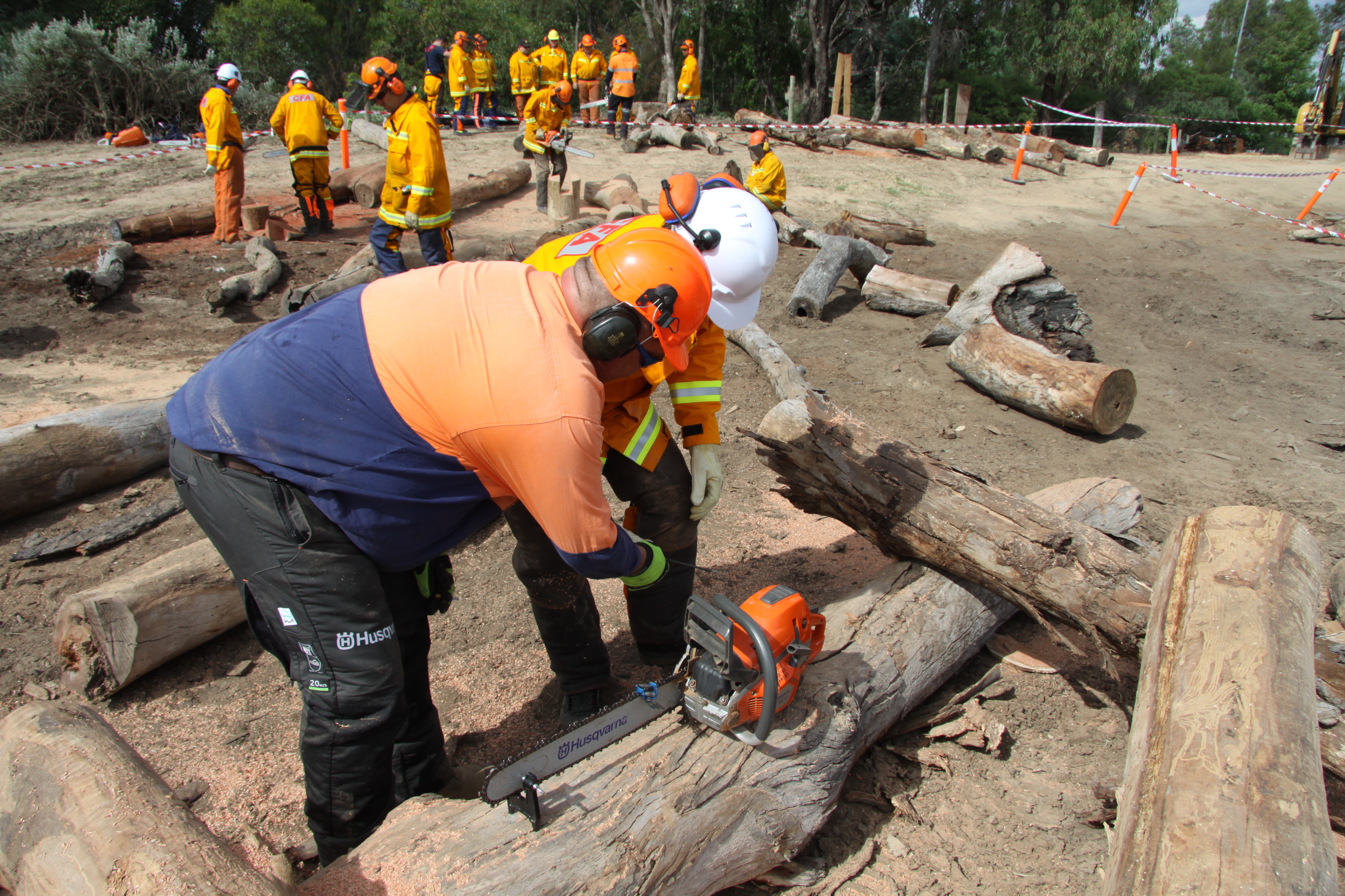 Chainsaw Training Course