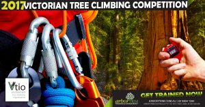 2017-victorian-tree-climbing-comp