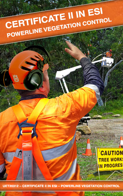 UET20319 – Certificate II in ESI – Powerline Vegetation Control