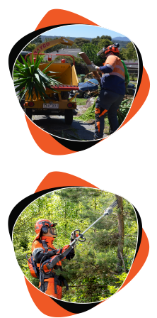 Tree-worker—Chainsaw