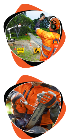 Tree-worker—EWP