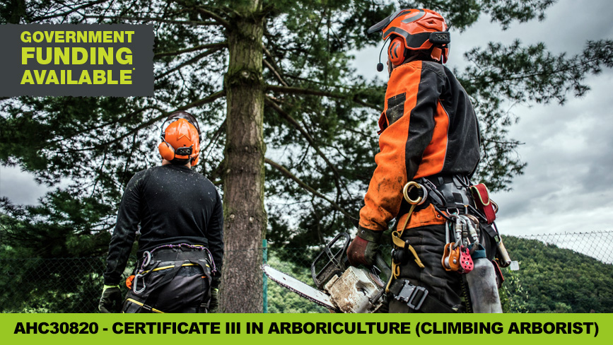 AHC30820 - Certificate III in Arboriculture (Climbing Arborist
