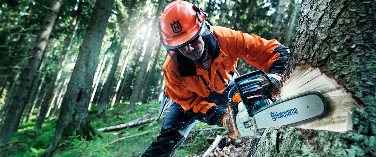 Level 2 Chainsaw Course : Chainsaw Maintenance and Cross Cutting – RTWU