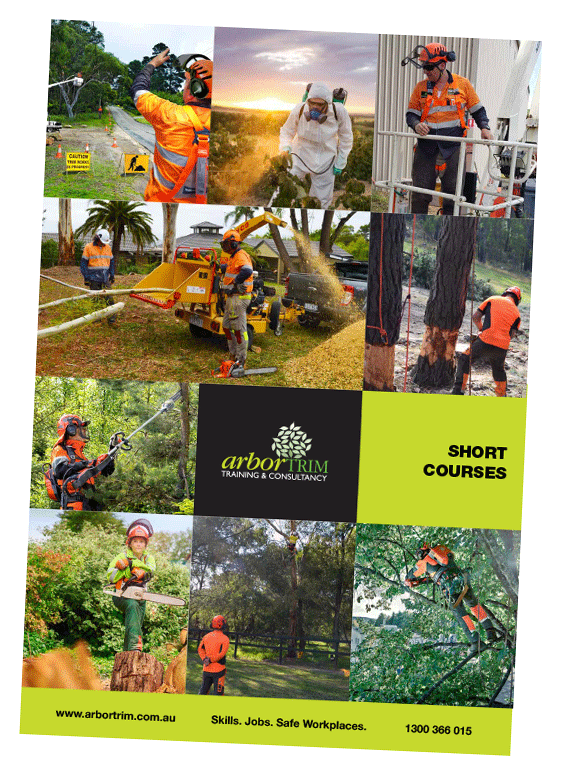 Level 2 Chainsaw Training Course -Arbotrim Training